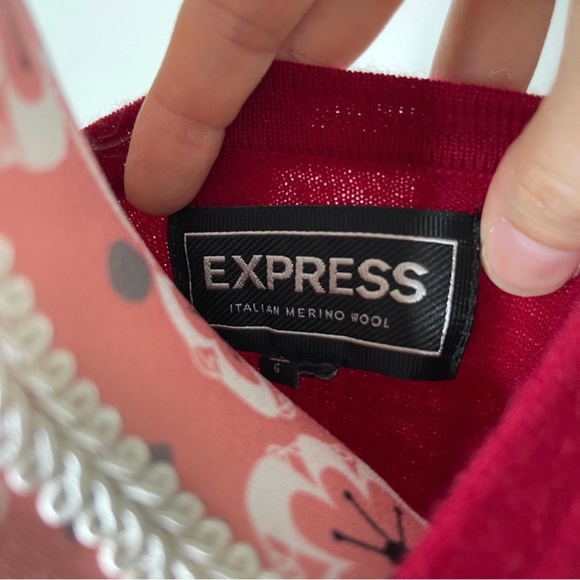 Express Mens Italian Merino Wool Pullover Knit Sweater Large - Picture 7 of 8